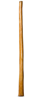 Gloss Finish Flared Didgeridoo (TW955)